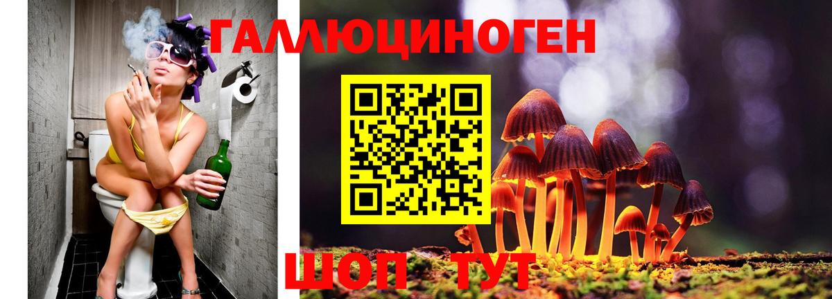 Псилоцибиновые грибы ЛСД Серпухов